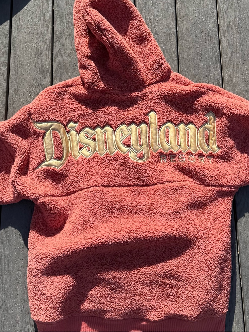 Disneyland Sherpa Spirit Jersey Hoodie